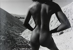 Image description is not available for 2010.013